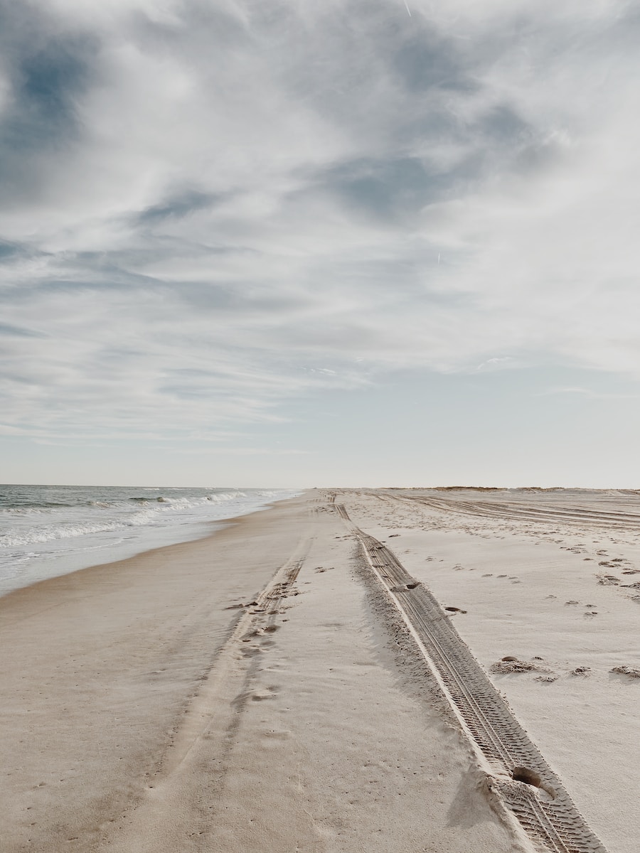 Assateague Island