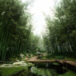 a pond surrounded by bamboo trees in a forest