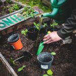 gardening retreat