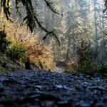 Autumn hiking trail