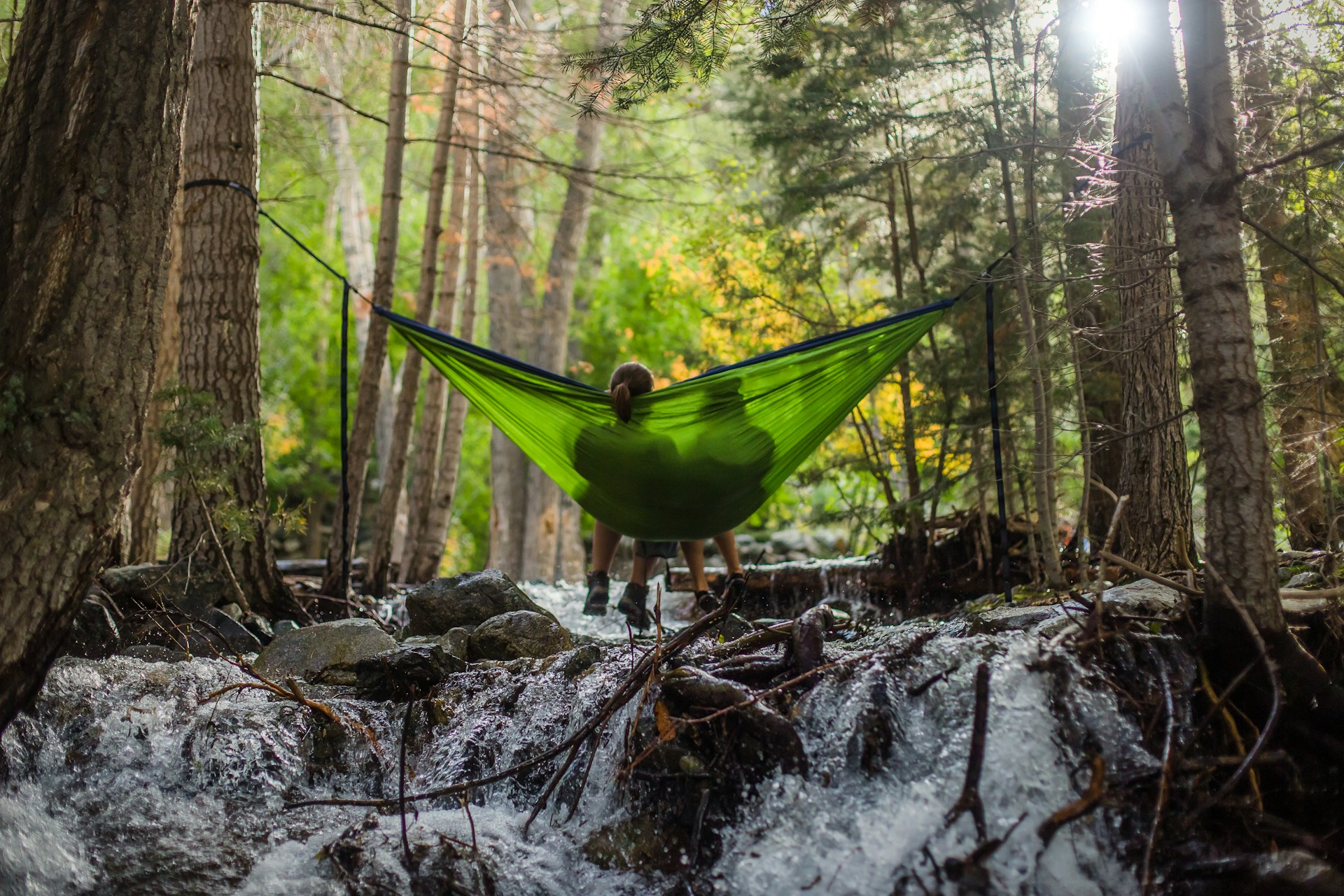 Green woodland hammock