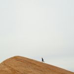 Vibrant trail-running scene