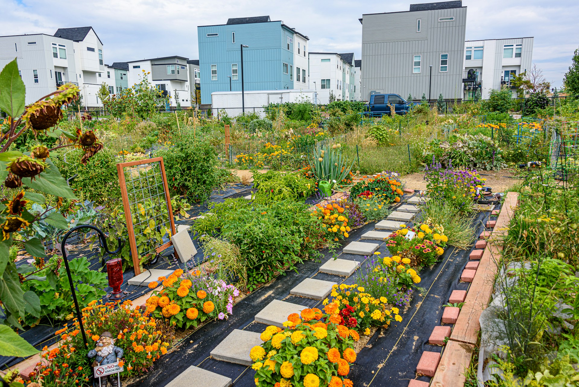 community garden