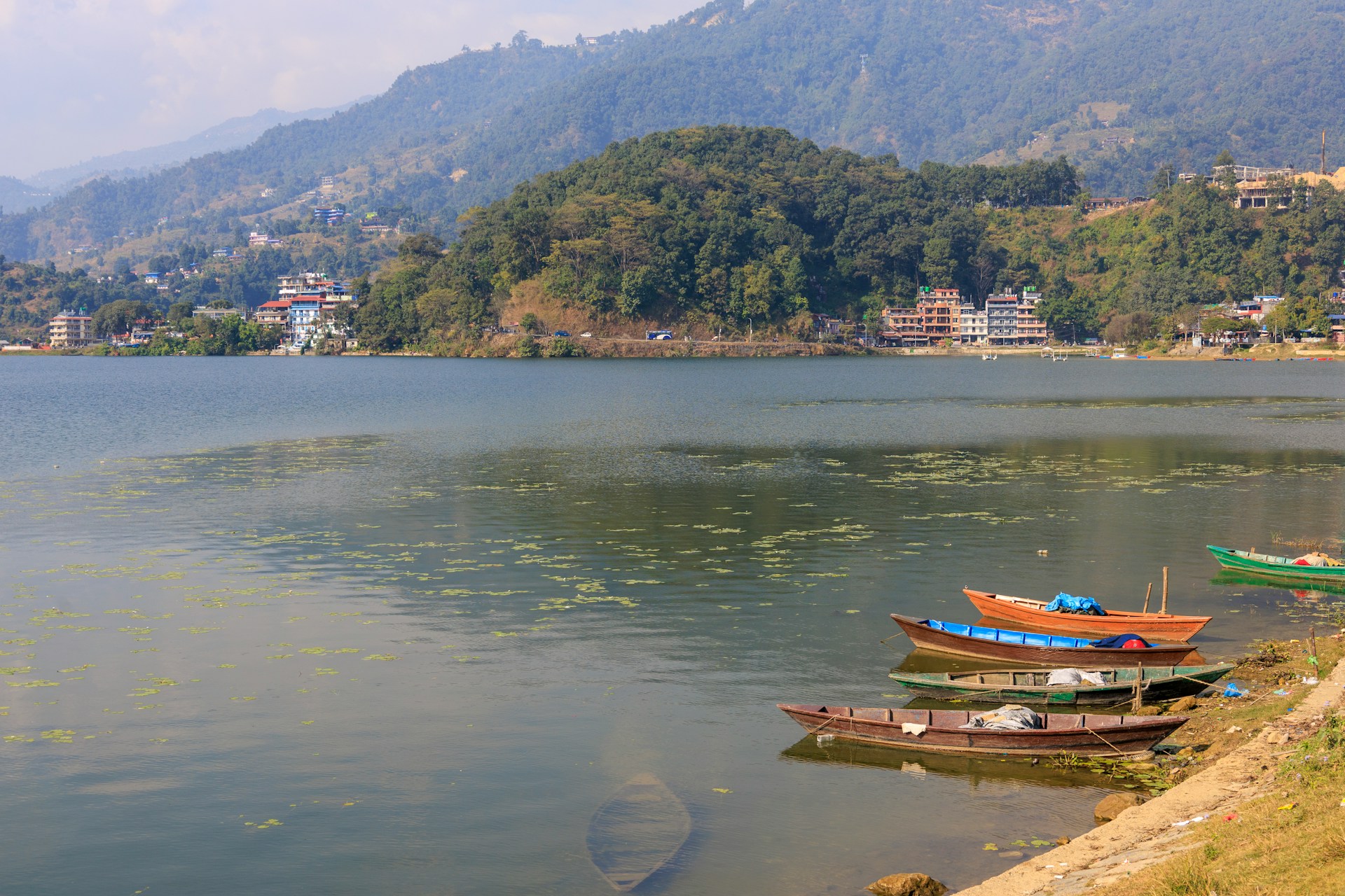 tranquil lakeside scenery