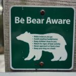 bear safety