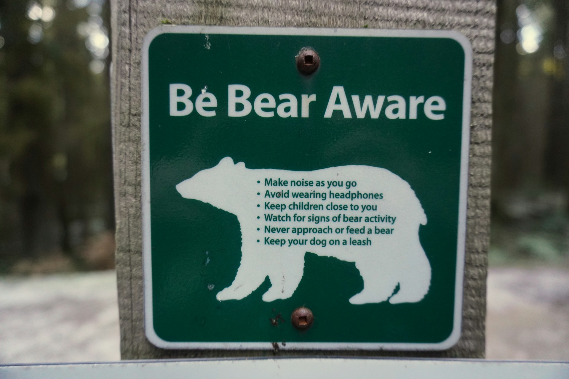 bear safety